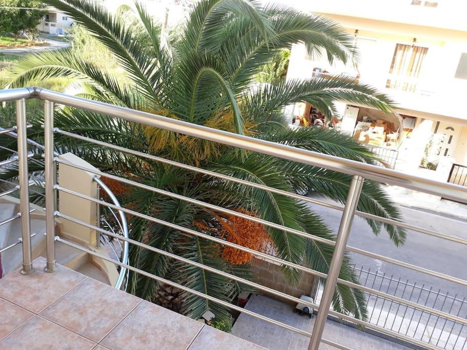 Cozy New Apartments Nea Chora ハニア エクステリア 写真